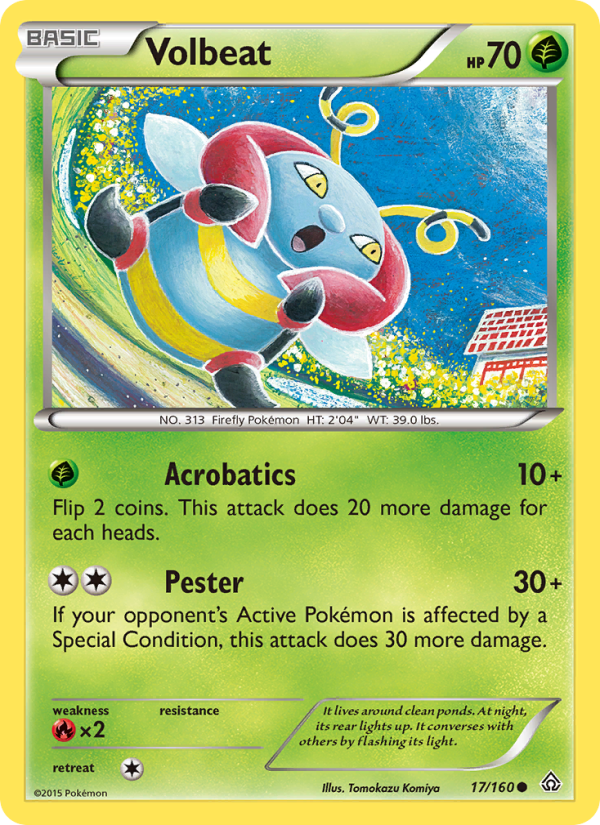 xy5-17